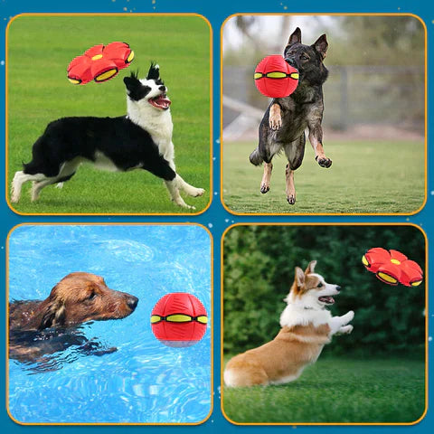 Pets Care™ Flying Saucer Ball