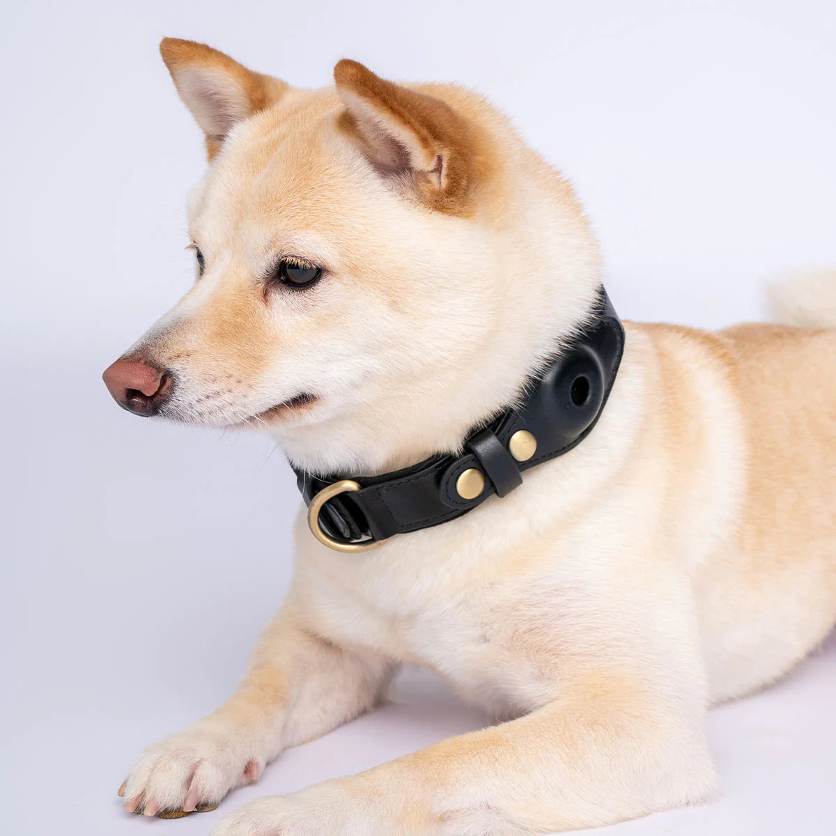 Pets Care™ AirTag Collar