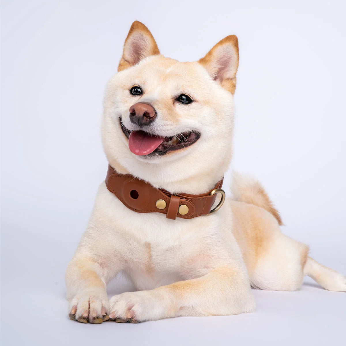 Pets Care™ AirTag Collar