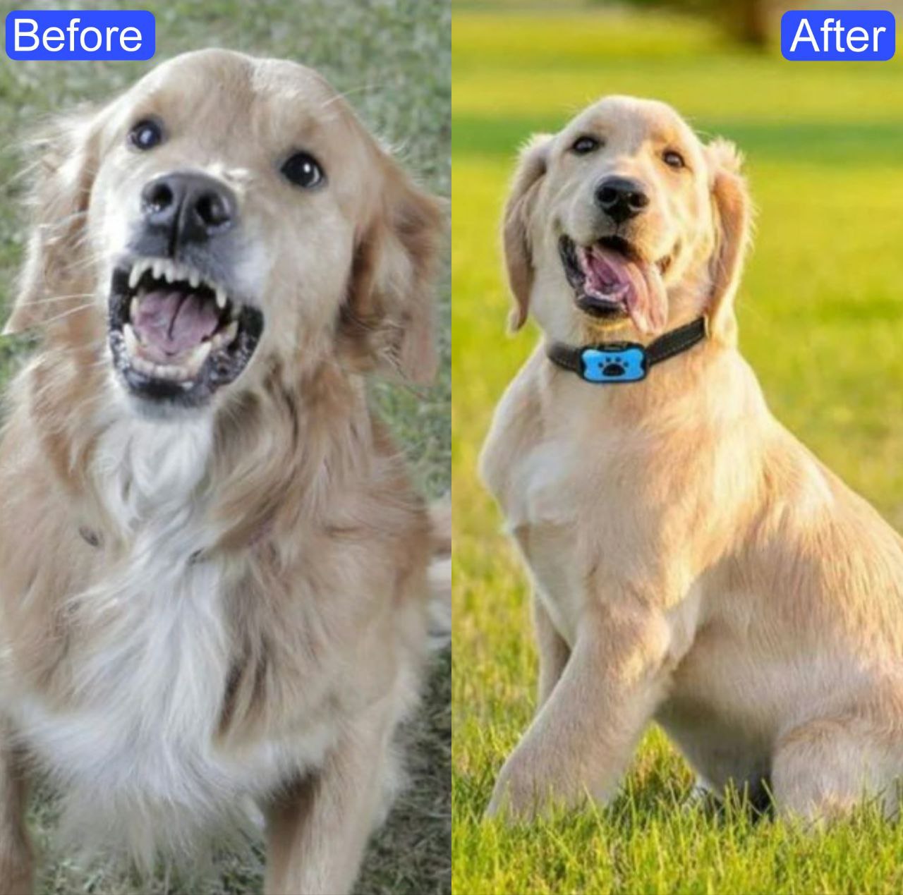 Pets Care™ Dog Anti-Bark Collar