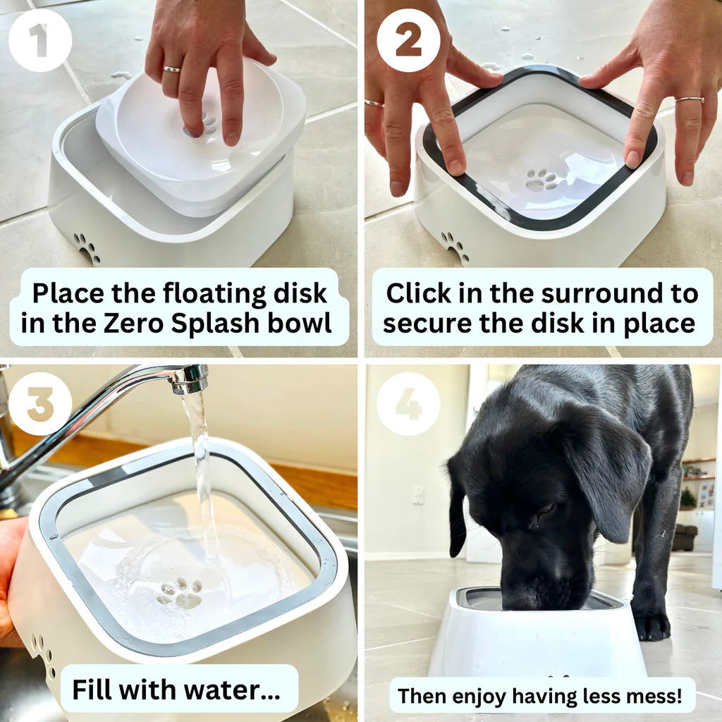 Pets Care™ Water Bowl